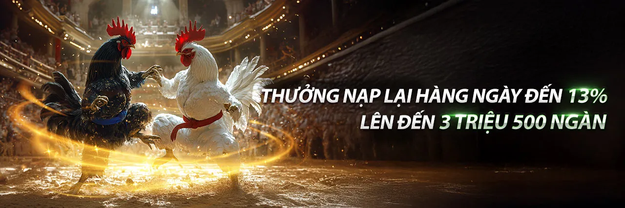 Đá Gà Ngày 22/4 - Trải nghiệm cá cược đỉnh cao tại King79